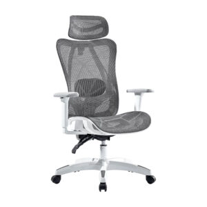 SILLA ERGONOMICA ACTECK (AC-940290) FLOE PLUS EC727,INCLINACION 135,PESO 120KG,PISTON CLASE 3.BLANC
