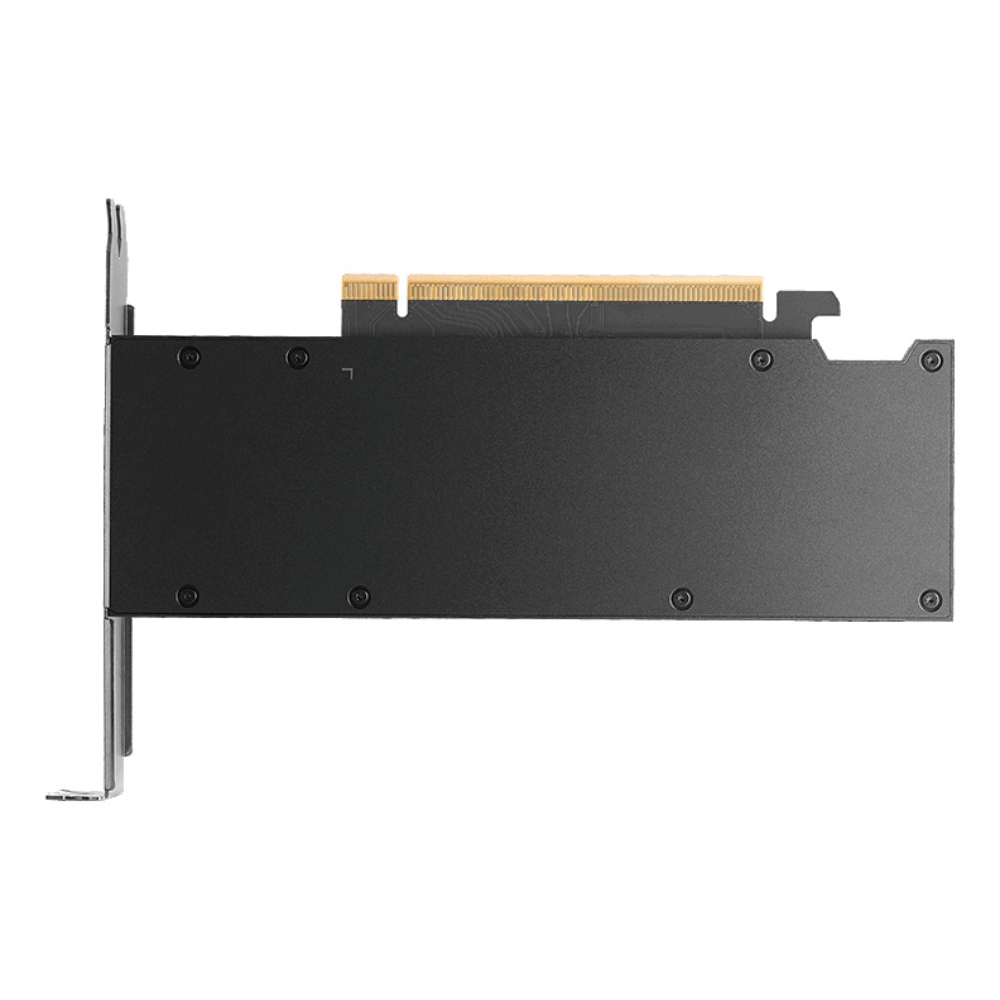 TARJETA DE VIDEO PNY (VCNRTXPRO2000B-PB) NVIDIA RTX PRO2000 BLACKWELL GDDR7 DE 16 GB CON ECC 70W 4XMDP 2.1B3 - Imagen 3